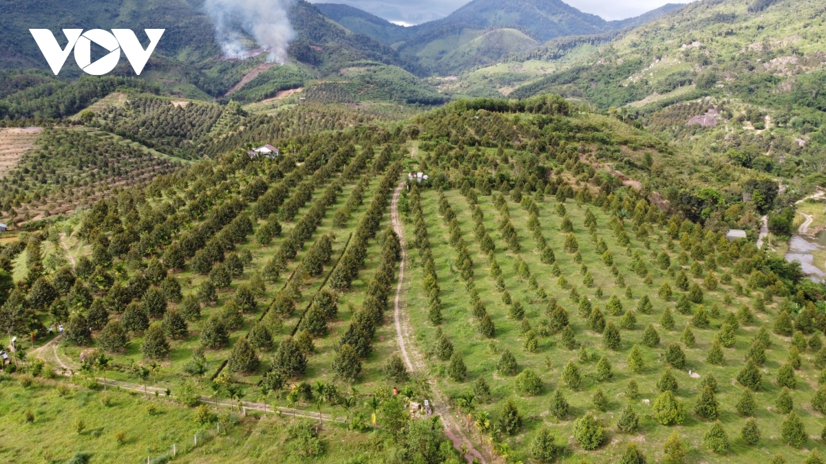 Thu hút đầu tư vào miền núi Khánh Hòa